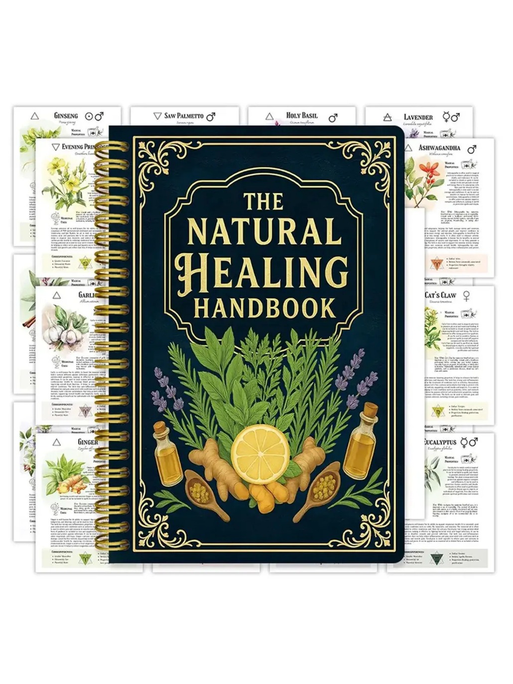 Holistic Health & Wellness - 2026 Natural Healing Handbook By Luna