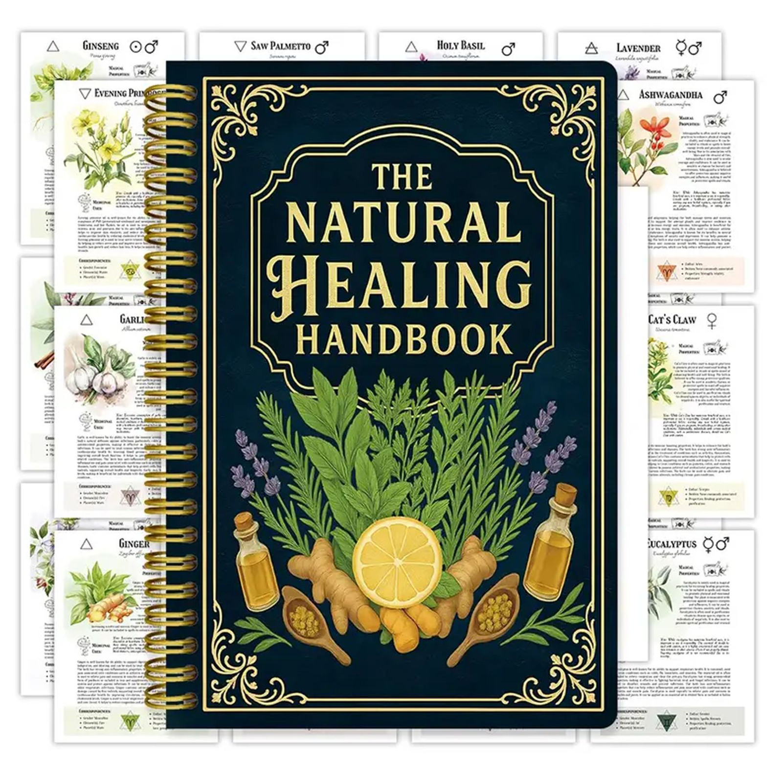 Holistic Health & Wellness - Natural Healing Handbook By Luna Filby