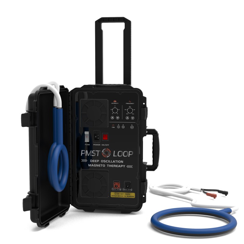 PMST LOOP PEMF Therapy Horse E - Therapy Health And Wellness บทวิจารณ์และราคา